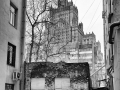 2012_img_1258