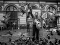 2012_img_1266