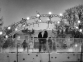 2012_img_1300