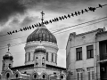 2012_img_1349