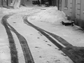 2012_img_1361