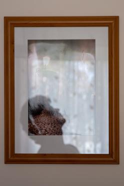 Life in a frame