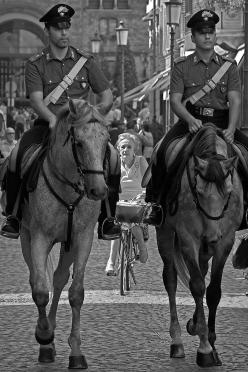 Roma 2006