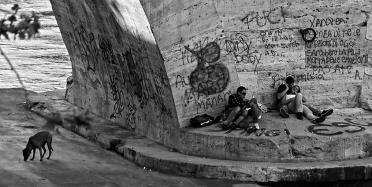 Roma 2008
