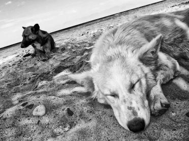 Resting