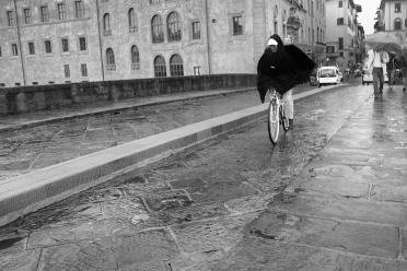 Firenze 2012