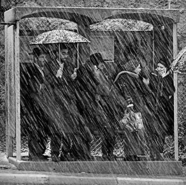Umbrellas